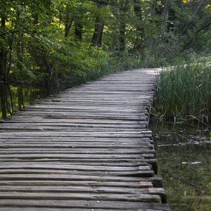 manence-consulting-dominique-mascle-coaching-entreprise-bilan-carriere-parcours-professionnel